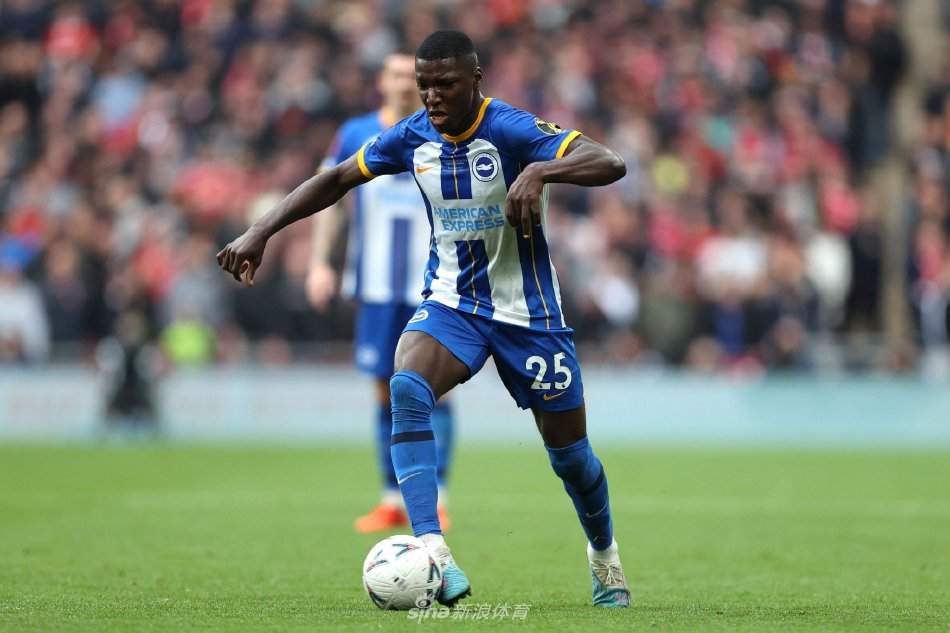 才华横溢的 才华横溢的