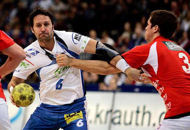 他们指出 他们指出